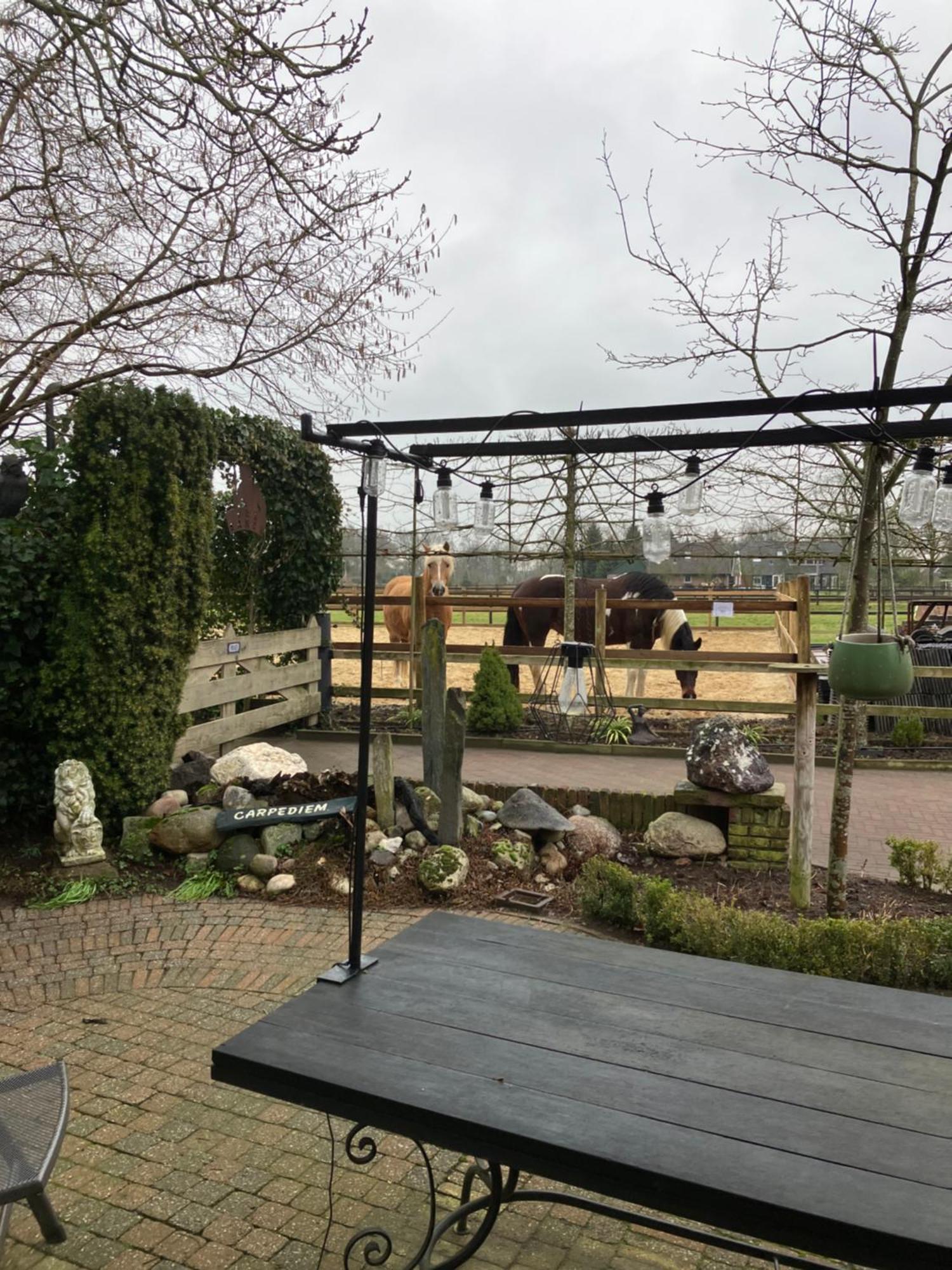 Carpe Diem Nijverdal Exteriör bild